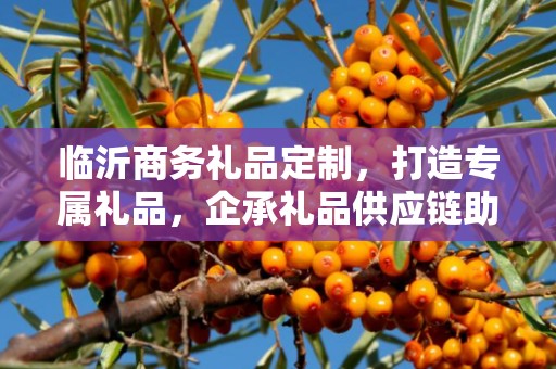 临沂商务礼品定制，打造专属礼品，企承礼品供应链助力商务往来