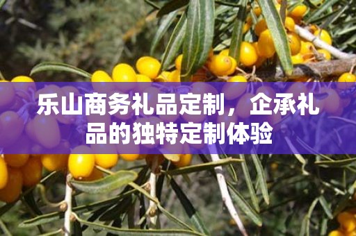 乐山商务礼品定制，企承礼品的独特定制体验