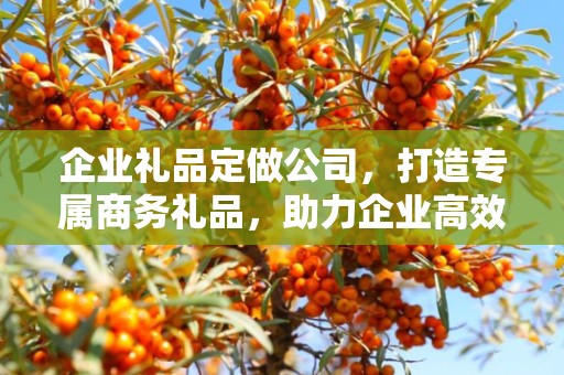 企业礼品定做公司，打造专属商务礼品，助力企业高效发展