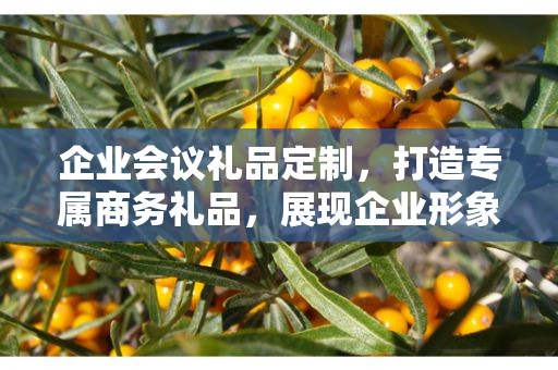 企业会议礼品定制，打造专属商务礼品，展现企业形象与品味