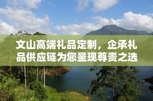 文山高端礼品定制，企承礼品供应链为您呈现尊贵之选