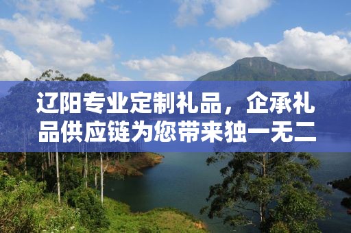 辽阳专业定制礼品，企承礼品供应链为您带来独一无二的定制体验
