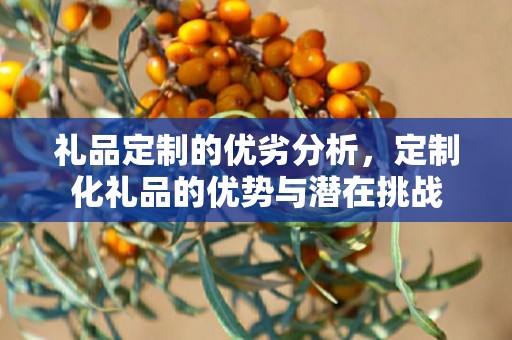 礼品定制的优劣分析，定制化礼品的优势与潜在挑战
