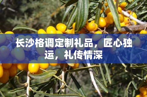 长沙格调定制礼品，匠心独运，礼传情深