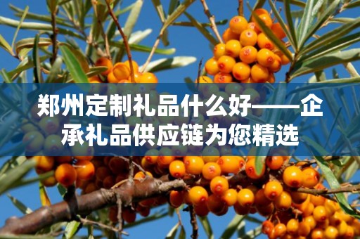 郑州定制礼品什么好——企承礼品供应链为您精选
